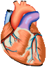 Medizin